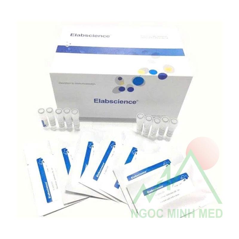 Kit test nhanh phát hiện kháng nguyên Coronavirus ở chó